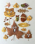 Image result for Leaf for Kids