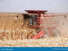 Image result for Corn Harvesting Photography Ideas