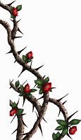 Image result for Rose Thorn Vine Clip Art