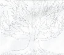 Image result for Maplr Tree Drawing