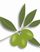 Image result for Olive Vine Leaves Clip Art