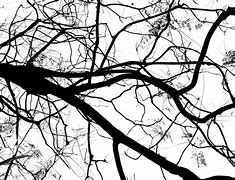 Image result for Tree with Blue Branches Clip Art