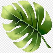 Image result for Simple Cartoon Leaf