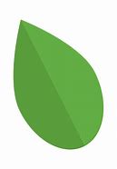 Image result for Simple Cartoon Leaf