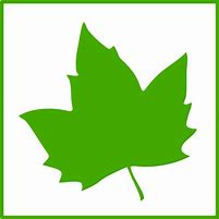 Image result for Pot Leaf Decal