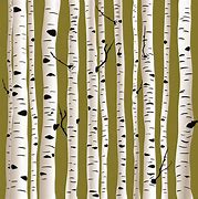 Image result for Birch Tree Branch Clip Art