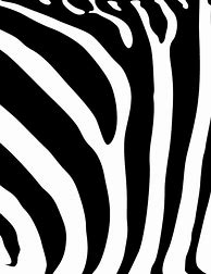 Image result for Cheetah Print Clip Art Black and White