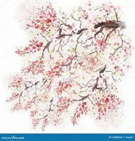 Image result for Japanese Cherry Blossom Watercolor