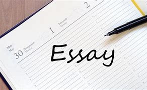 Image result for Advertisement Poster for Essay Writing Service