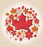 Image result for Canada Day Maple Leaf