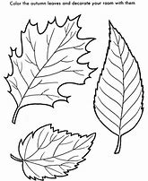 Image result for Coloring Picture of Leaf