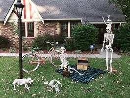 Image result for Skeleton Decoration Ideas for Outdoors