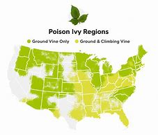 Image result for Poison Oak Range Map