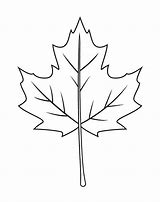 Image result for Sparkely Single Fall Leaf Art