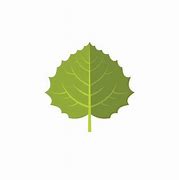 Image result for Aspen Leaf Limb Silhouette