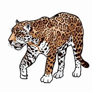 Image result for Black Jaguar Clip Art