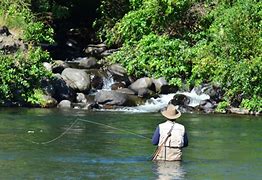 Image result for Fly Fishing Graphics