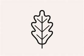 Image result for Oak Leaf Outline