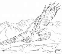 Image result for Flying Eagle Coloring Page