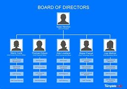 Image result for Hospital Organizational Chart Design