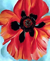 Image result for georgia o keeffe poppy painting museum