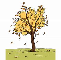 Image result for Draw Leaves On Tree