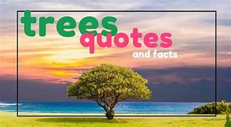 Image result for Tree Life Quotes