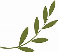 Image result for Olive Branch Graphic Clip Art