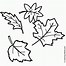 Image result for Leaf Coloring Sheets Printable