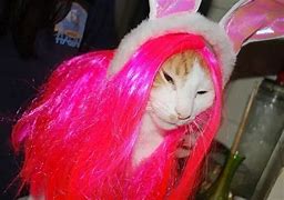 Image result for Funny Hair Wigs