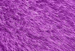 Image result for Beige Fur Texture