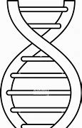 Image result for Drawing of DNA Strand