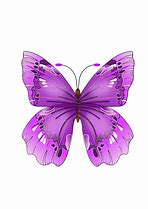 Image result for Butterfly Leaf Logo