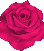 Image result for Pink Rose Clip Art