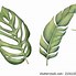 Image result for Pictures of Palm Leaves to Print