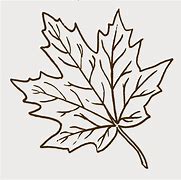 Image result for Fall Leaves Black and White