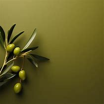 Image result for Desktop Wallpaper 4K Olive Branch