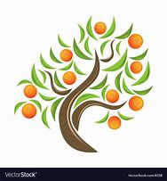 Image result for Orange Tree Vector