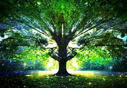 Image result for Mystical Willow Tree