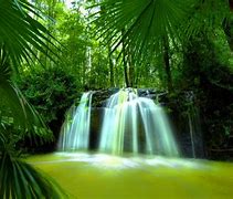 Image result for Beautiful Green Background