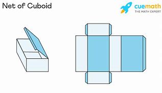 Image result for Cuboid Net KS3