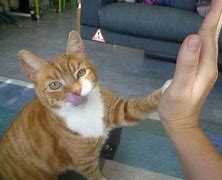 Image result for Great Job High Five