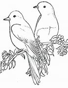 Image result for Bird On Branch Drawing