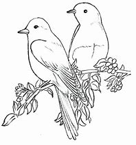 Image result for White Bird Drawing