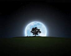 Image result for Night Sky Moon and Tree