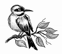 Image result for Drawing of a Bird On a Branch with a Colourful Background