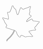 Image result for Maple Leaf Template