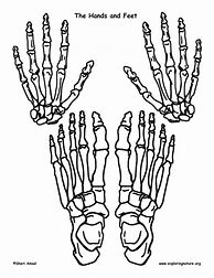 Image result for Skeleton Feet Poses Drawing