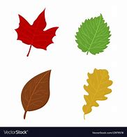 Image result for Fall Leaf Cartoon