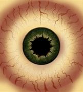 Image result for Real Green Eye Textures